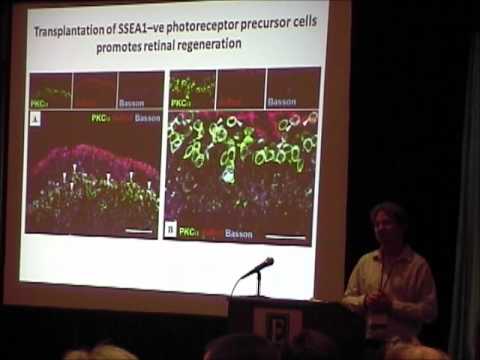 2012 CRF Conference: Dr. Michael Young, Pt. 3