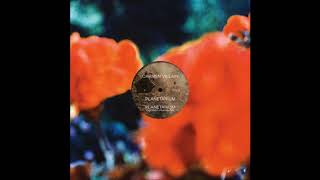 Planetarium ( Gigi Masin Alternate Mix ) - Carmen Villain