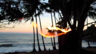 TURTLE COVE BEACH RESORT QUEENSLAND AUSTRALIA