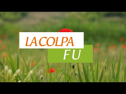 LA COLPA FU - Quelli di Bassano (Lyric video)