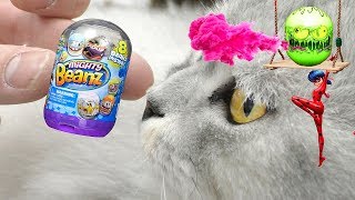 MIGHTY BEANZ CHALLENGE! Мама против папы на полосе препятствий!!! Леди Баг редкий боб!!!