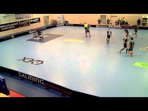 Herrar Div. 2 Lindås IBK - Frölunda IBK (7-4) HD Per1