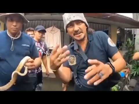 Isang maka mandag na cobra nahuli na pero but my tae 😂😂😂😂😂