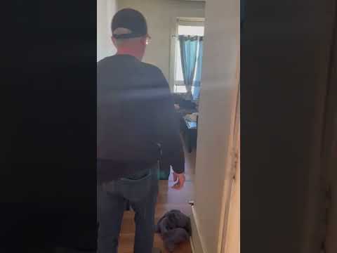 MAIN FLOOR, ROOMS FOR RENT, PETERBOROUGH