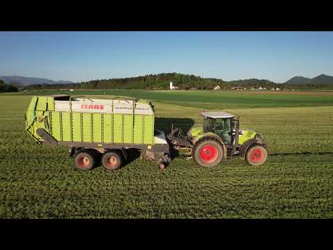 Grass Silage 2021 | SLOVENIA | CLAAS | First cut/prva košnja | SloveniaFarmLife