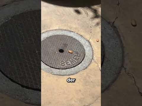 Damit haben sie definitiv nicht gerechnet 🤯✨