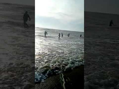 hagoror parot olp enjoy ...