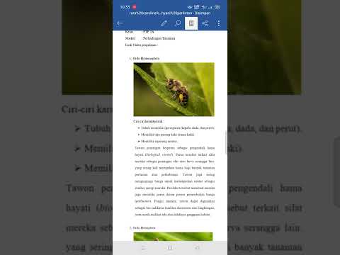 Video