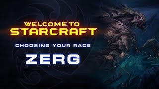 Welcome To StarCraft - Choosing Your Race (Zerg)