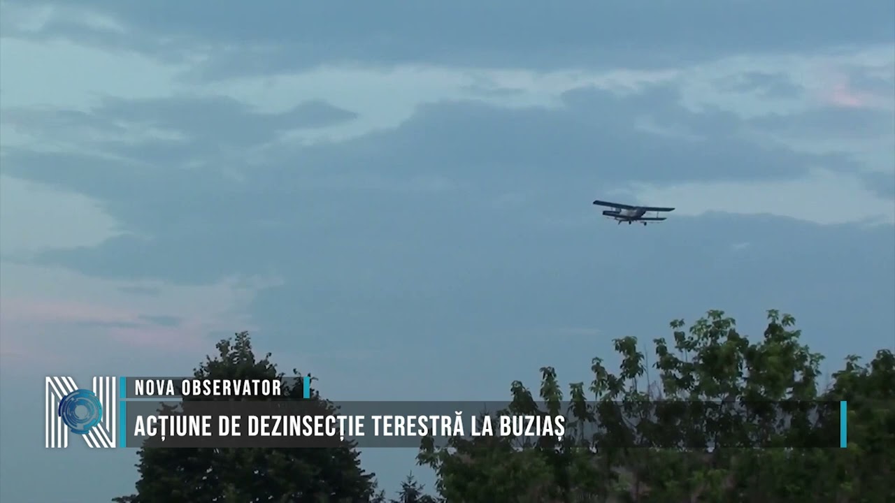 Acțiune de dezinsecție terestră la Buziaș