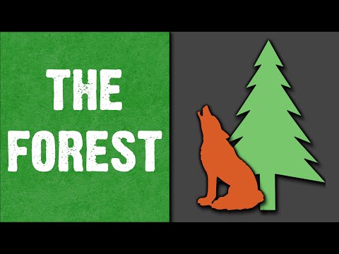 Miniature de la vidéo