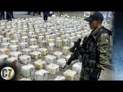 7 Of The Largest Drug Busts In US History