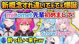 200種類あるてぇてぇのうちの1つすれ違いてぇてぇSnowZnow【さくらみこ/星街すいせい/雪花ラミィ/博衣こより/ホロライブ切り抜き】