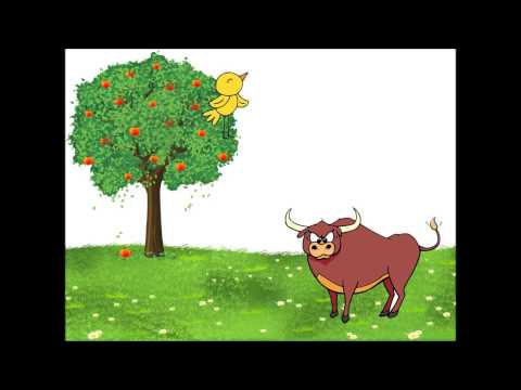 Dia Mundial da Música - O touro e o passarinho