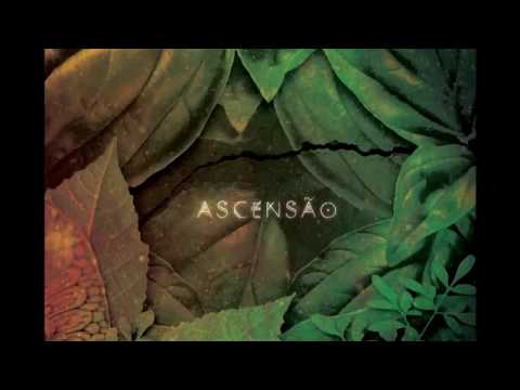 Serena Assumpçao - Oxum (Con Curumin e Xênia França)