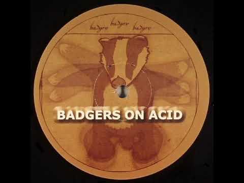 The *TING*, K Complex & Syfoon - Badgers On Acid