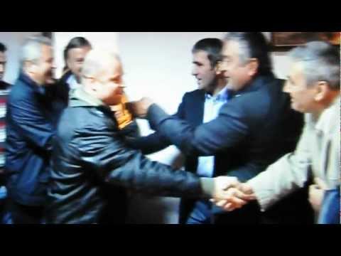 STEJARU CRISTI BOCEA