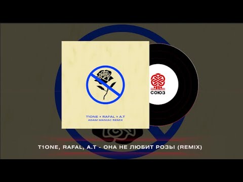 T1One, RAFAL, A.T - Она не любит розы (Adam Maniac Remix) (2024)