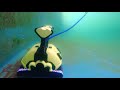 Teichroboter Dolphin Supreme Bio S Im Einsatz