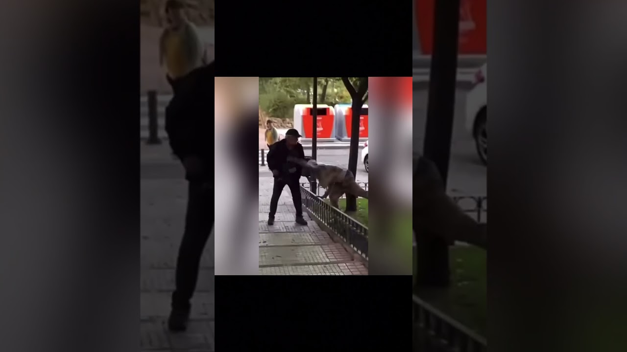 Memes I stole from a homeless man #memes #funny #idk #shorts