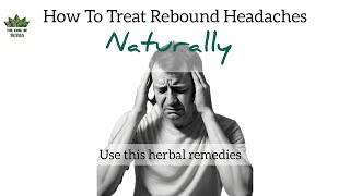 How to treat rebound headache naturally| Use this herbs