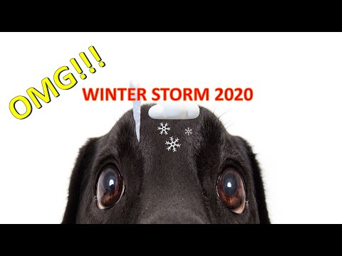 Winter Storm Omaha 12/29/2020