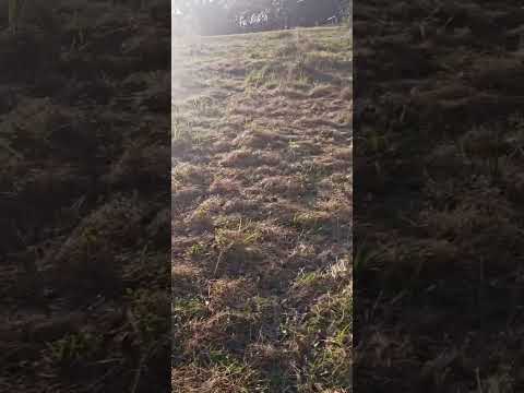 Bluetooth technology saved the day, even our here in the ranch!