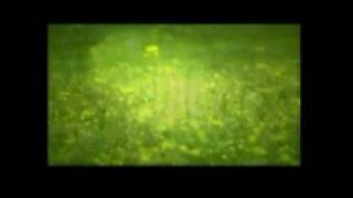 Moby feat. Kelli Scarr - Gone to sleep (acoustic)