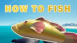 How To FISH | Everything You Need To Know ► Sea of Thieves