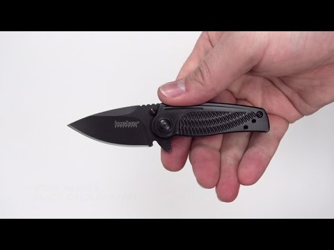Kershaw 1313BLK - Spoke