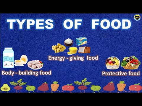 How Many Types Of Food Do We Have? 1 Anteprima video