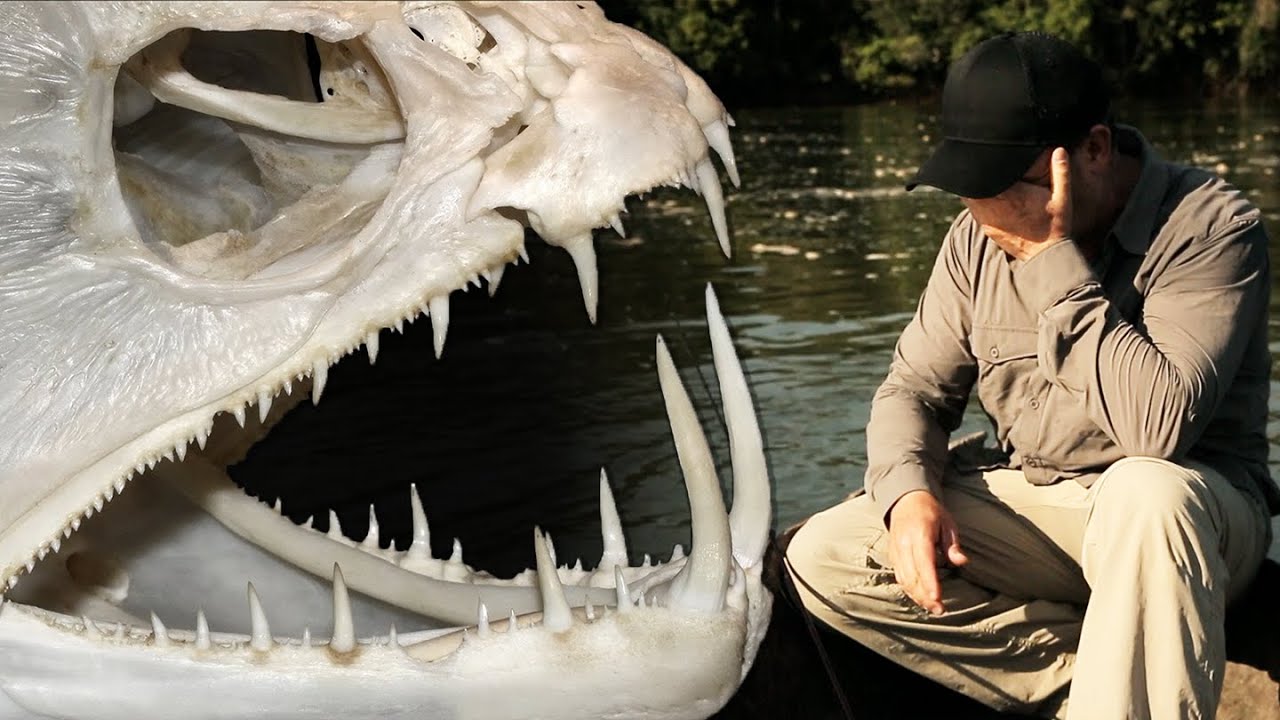 UNE JOURNÉE À LA POURSUITE D'UN FANTÔME EN AMAZONIE - Cyril Chauquet