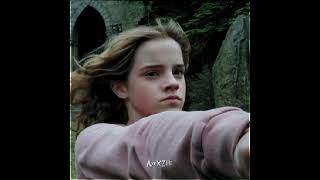 Hermione Granger Look What You Made Me Do...
