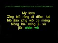 別讓愛凋落 My Love Don T Let Love Fade Away By Lú Rùnzé Lyrics Video Pinyin For Singing Prac