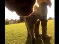 Dog Pees On My Sisters Ugg Boots GoPro Mounted On Kimbo S Collar