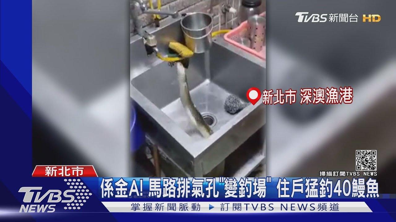 係金A！馬路排氣孔「變釣場」　住戶猛釣40鰻魚