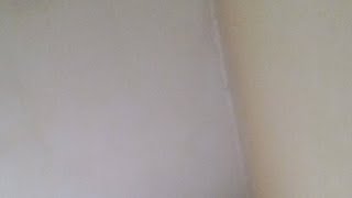 Bryan And Vinny Show With Craig 27th December 2018