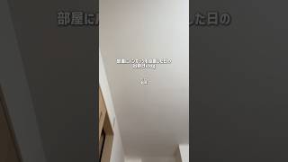 地元に帰りたい社会人2年目の日常。ボーナスでハンモック買った。#社会人の日常 #社会人vlog #日常vlog #一人暮らし #営業