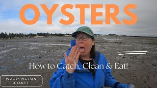 How to Catch, Clean & Eat Oysters