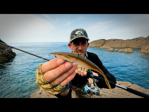 Is THIS LURE Good For UK BASS FISHING.. The DEPS SAKAMATA SHAD??