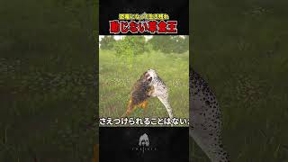 【恐竜として生き残れ】動じない草食王#theisle #恐竜 #ゲーム #ゲーム実況#トリケラトプス