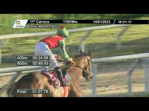 230114 c11 - DESTINADA POSSE - HIPODROMO LAS PIEDRAS