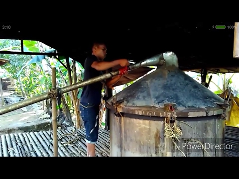 Exciter kuat untuk perempuan membeli di Ukraina Bromo potensi yang lebih rendah