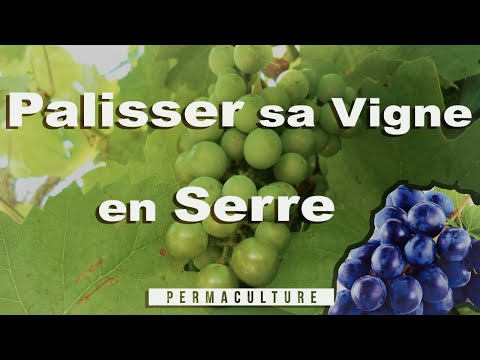 , title : '🍇  Comment et Pourquoi Tuteurer la vigne ? 🍇'