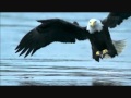 Wim Mertens Often A Bird