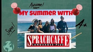 CAMPUSEDU YURTDIŞI DİL OKULLARI SPRACHCAFFE LOS ANGELES ORANGE COUNTRY DİL OKULU