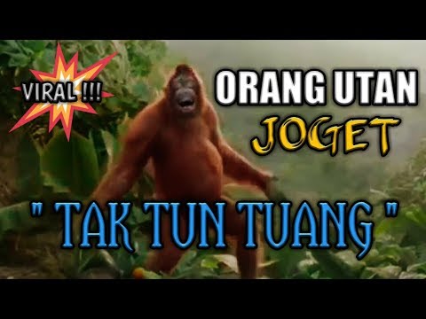 JOGET TAK TUN TUANG