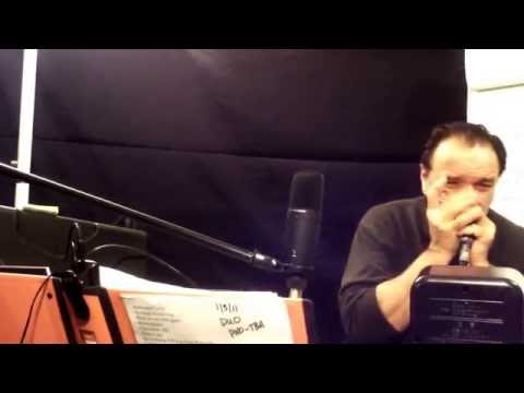 In a Mellowtone - Rob Paparozzi Harmonica