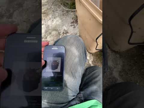 Review of the Megagarden #hydroponics 22 x 22 Ebb and Flow system, 5 Stars!!