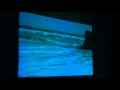 Exploring Visual Music - Benjamin Pomeroy - Beneath the (sound) Waves